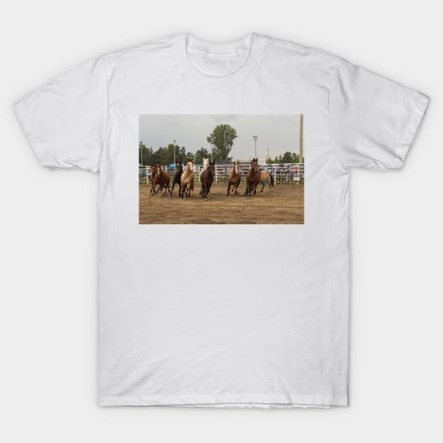 Horses at a trot T-Shirt by josefpittner